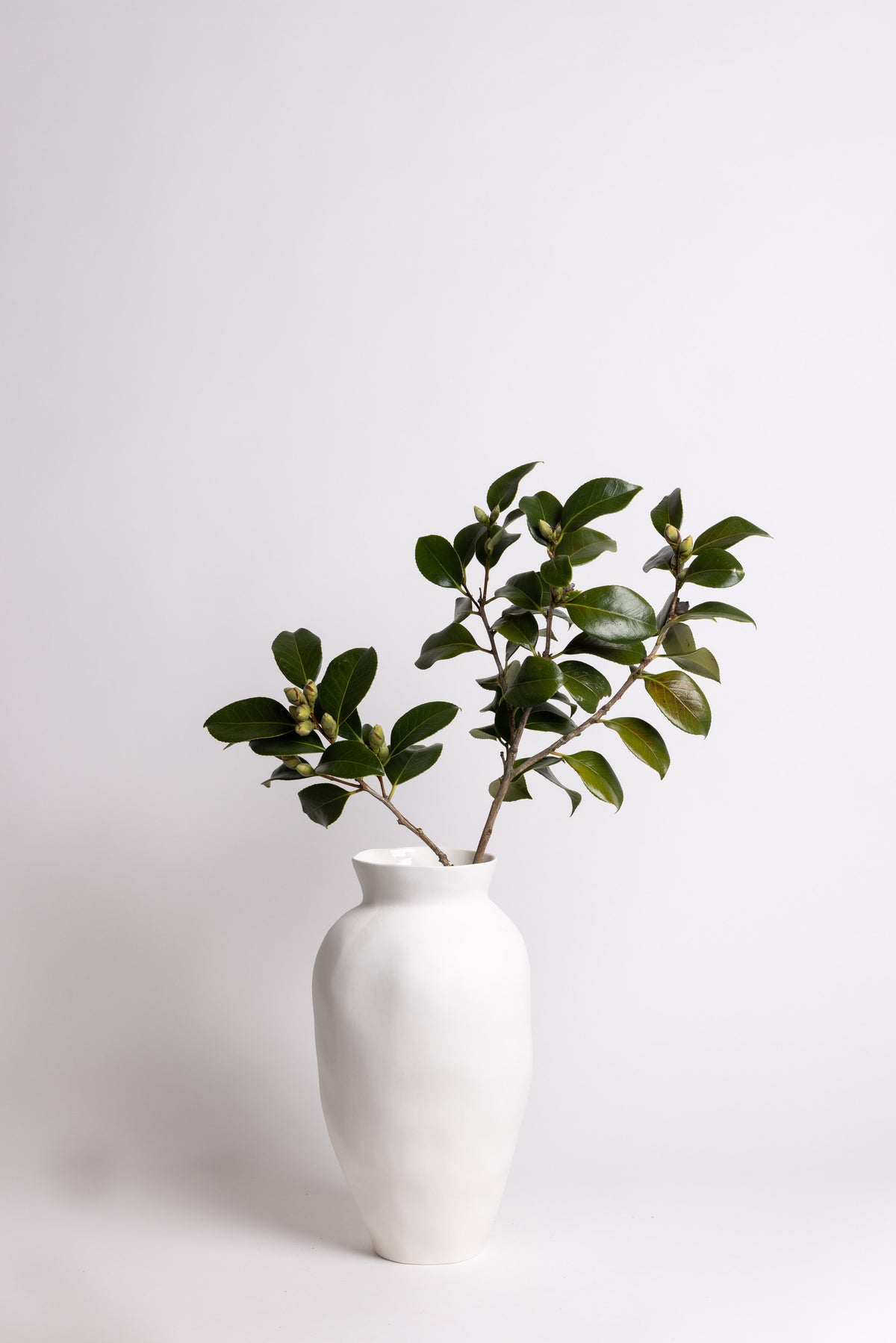 Venus Vase – Modern Sculptural Ceramic in 2 Sizes