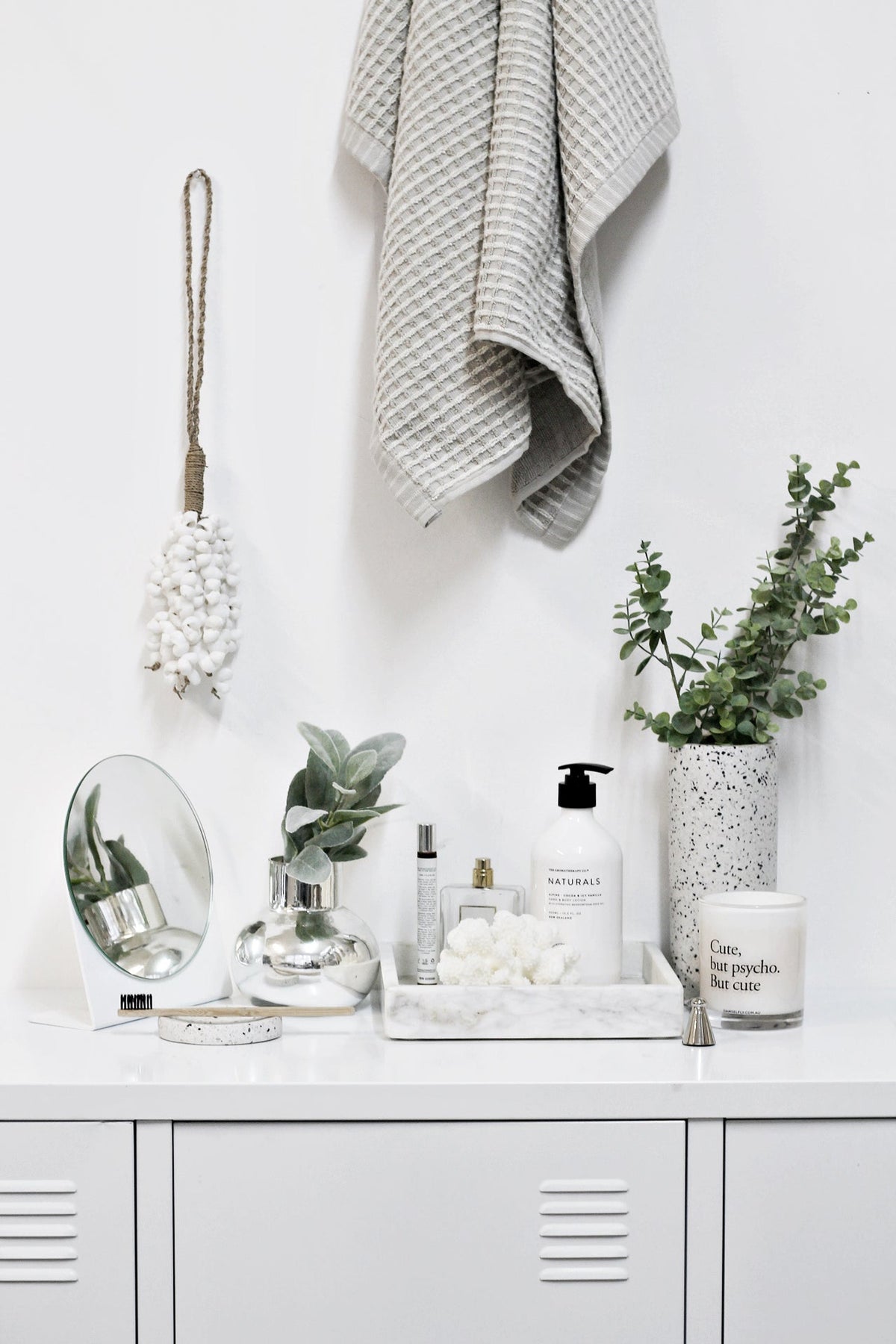 Lamb's ear in a small vase on white drawers below a hanging towel and brush