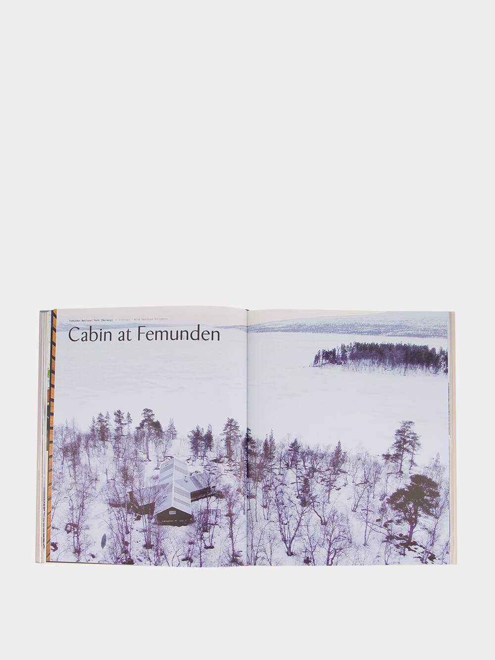 Scandinavia Dreaming | Nordic Homes, Interiors and Design