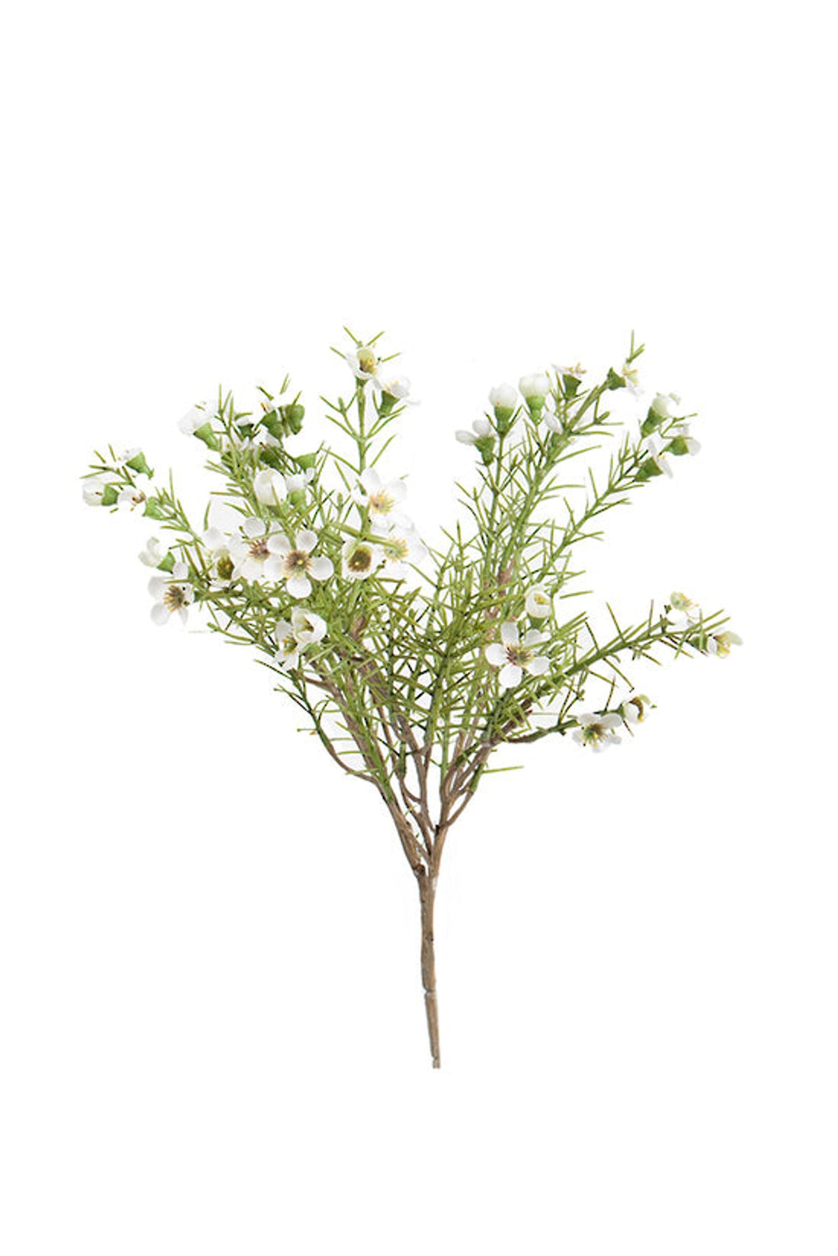 Alba wax flower bush in white, 35cm faux stem with small white blooms and fine green foliage