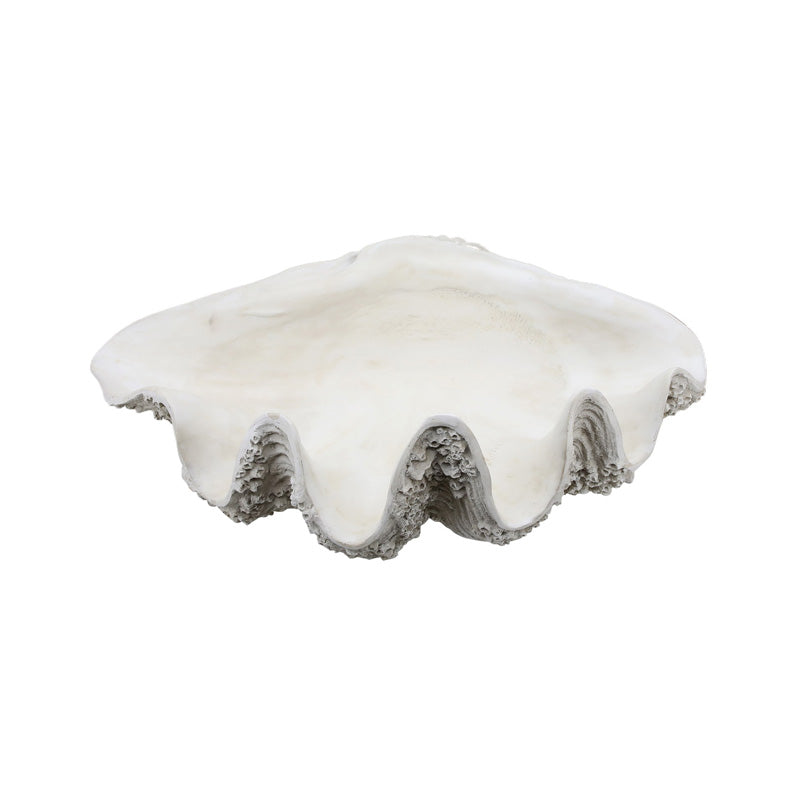 The XXL clam shell from above, showing the wide white hollow inside