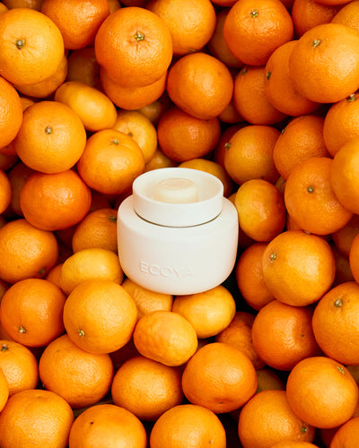 Soy Wax Melts by Ecoya, Seven Fragrances, Up to 30 Hours