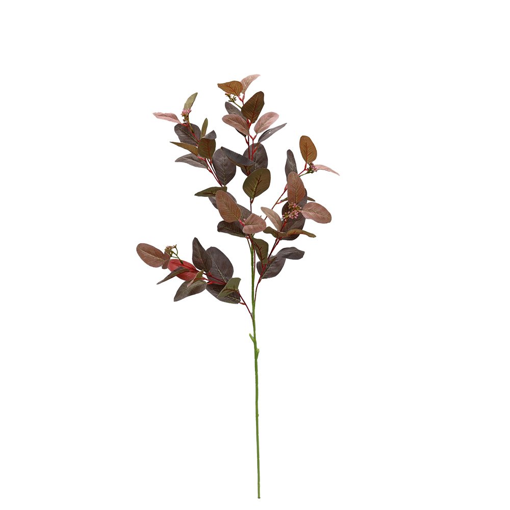 Seeded gum stem in Outback Red with burgundy leaves and seed pods, on a white background
