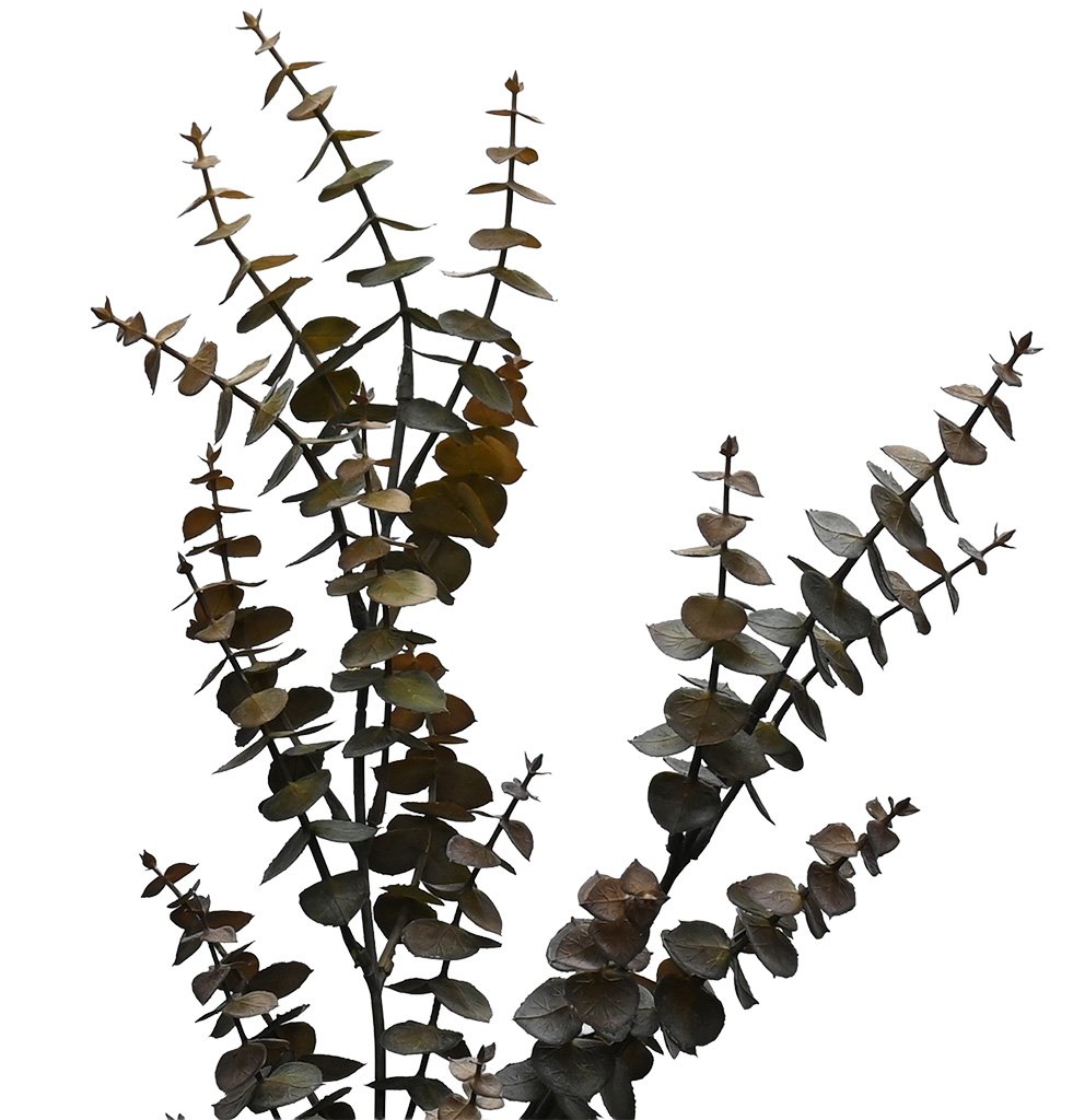 Detail of coffee-toned faux Hinterland Gum foliage, small rounded eucalyptus leaves along dark slender stems