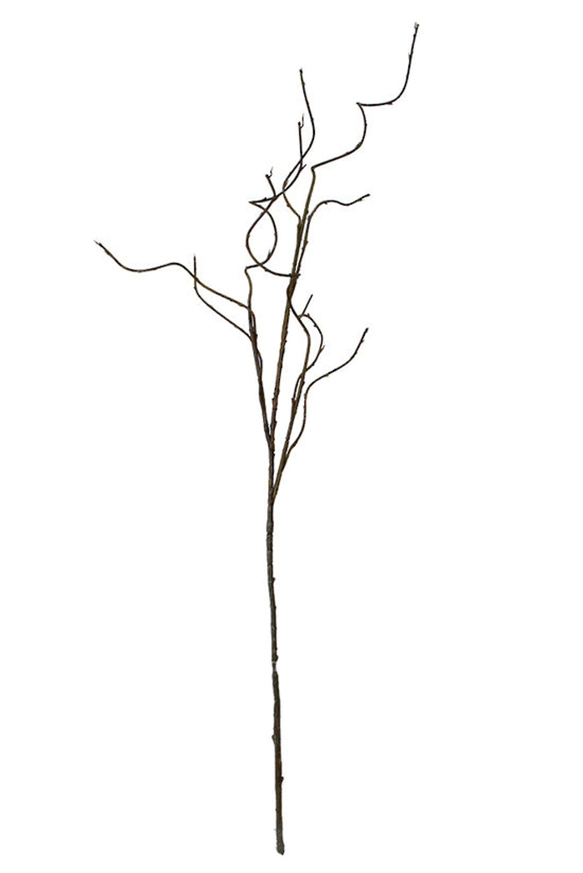 Curly willow branch, 1.3m sculptural faux stem on a white background