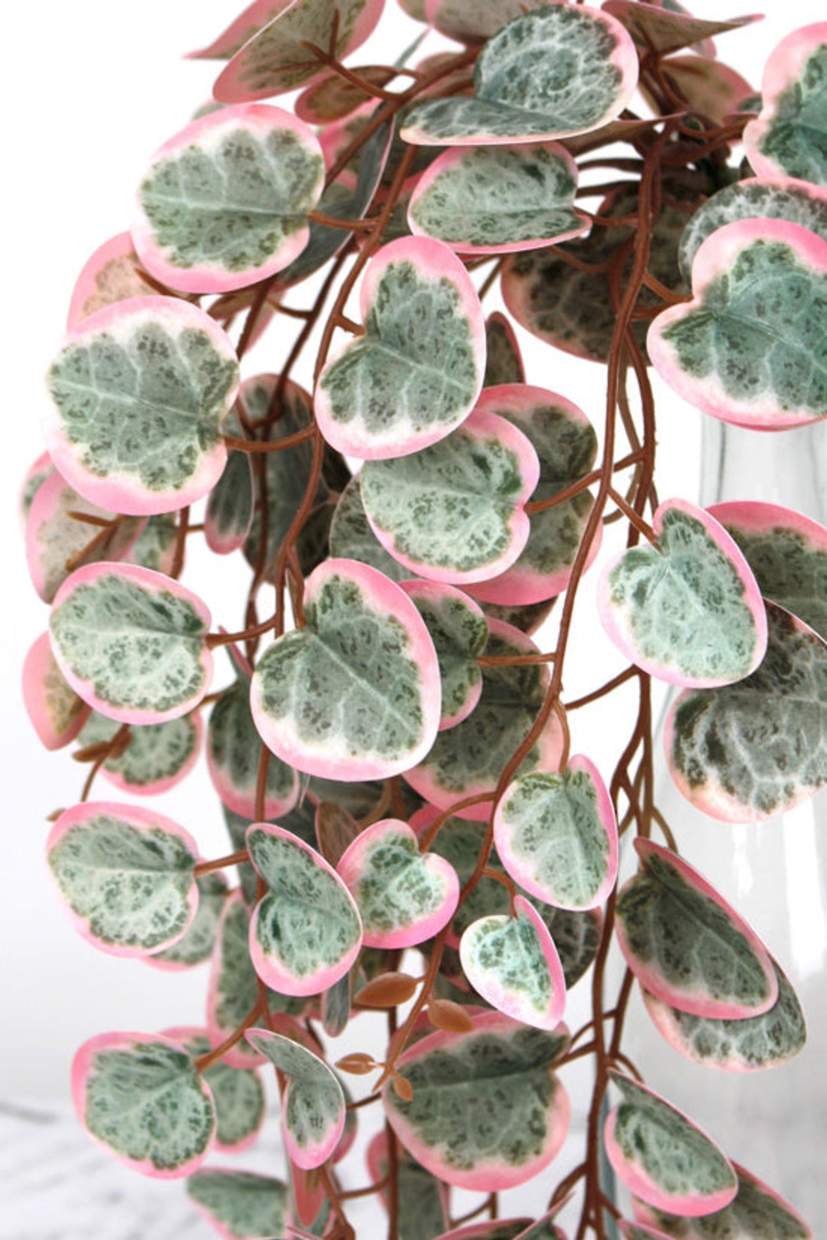 Detailed close up of the faux string of hearts foliage, showing pink edges and mottled sage leaves on russet stems