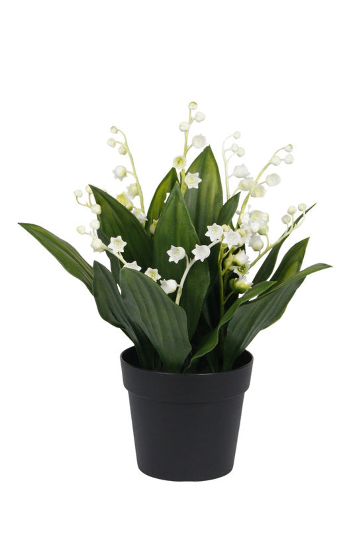 Faux lily of the valley, 25cm, in a black ribbed pot, on white