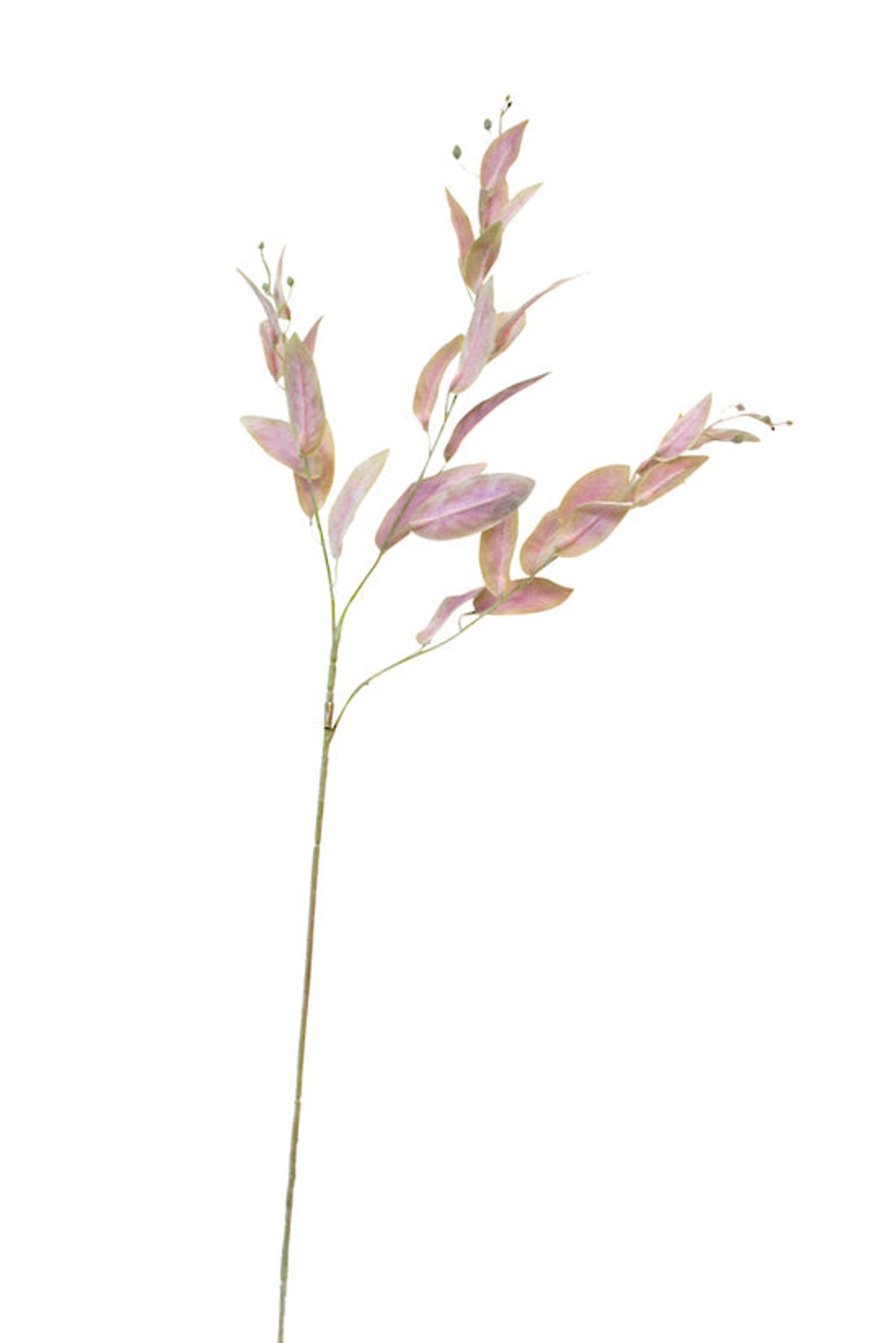 Garden Sage Spray, a 97cm faux stem with dusty pink and sage leaves, on white