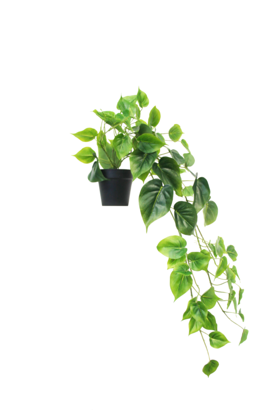 faux philodendron hanging Home | Flux Boutique