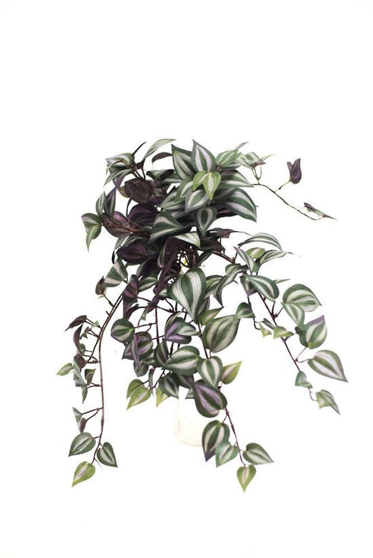 Faux Wandering Dew hanging plant with striped green and purple trailing leaves on a white background