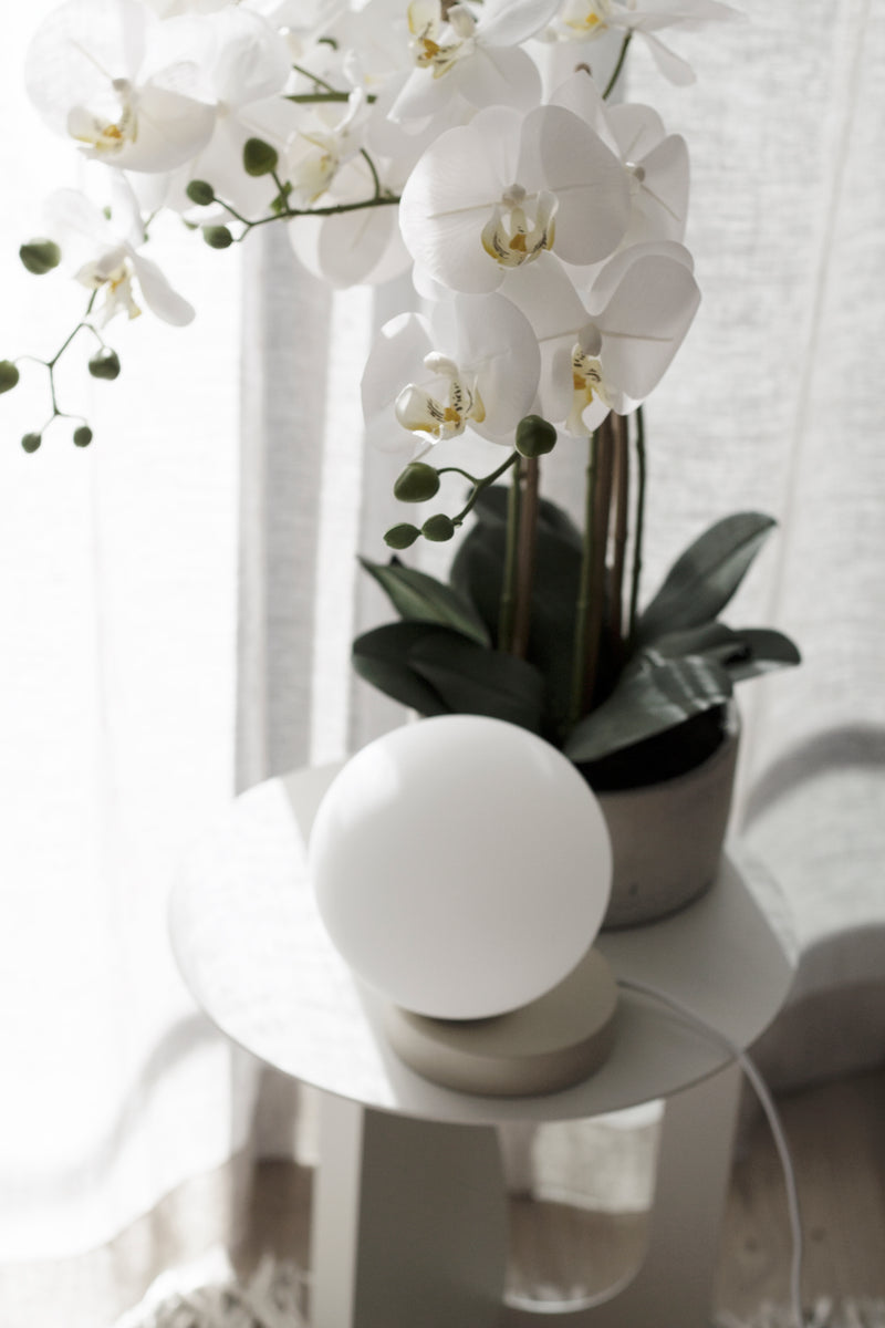 A white orchid on a table next to a Yuri Table lamp from Ned Collections, emitting a soft glow.