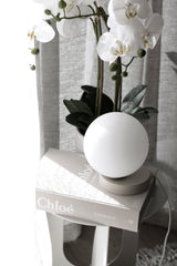 Yuri table lamp - white, featuring a soft glow by Ned Collections.