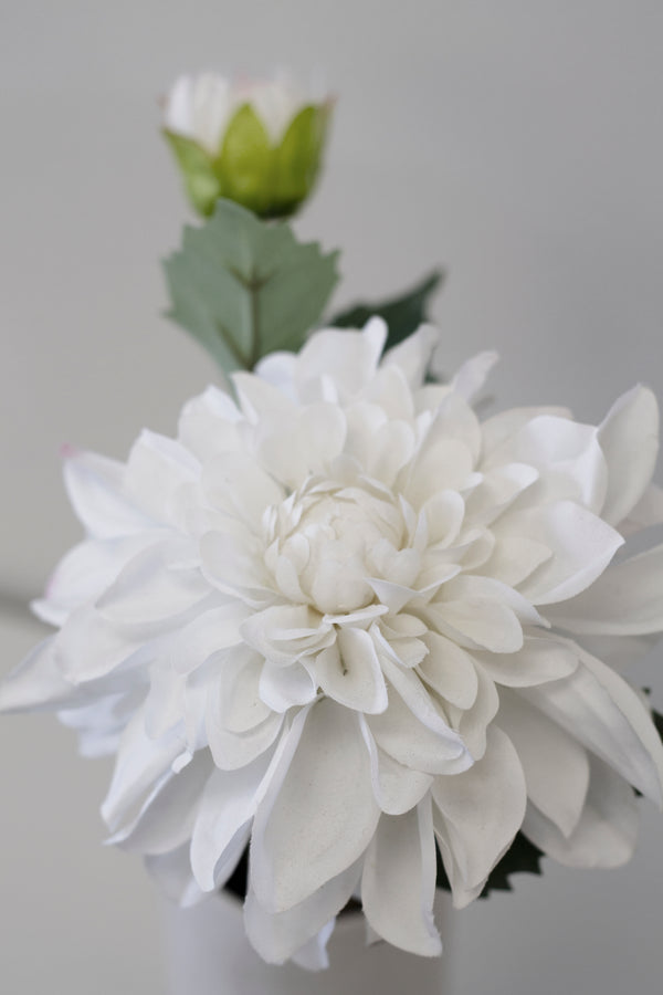 A Grand Border Dahlia - White flower in an Artificial Flora vase.