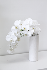 White orchids in a Ned Collections Bernie Vase on a table with a matte finish.