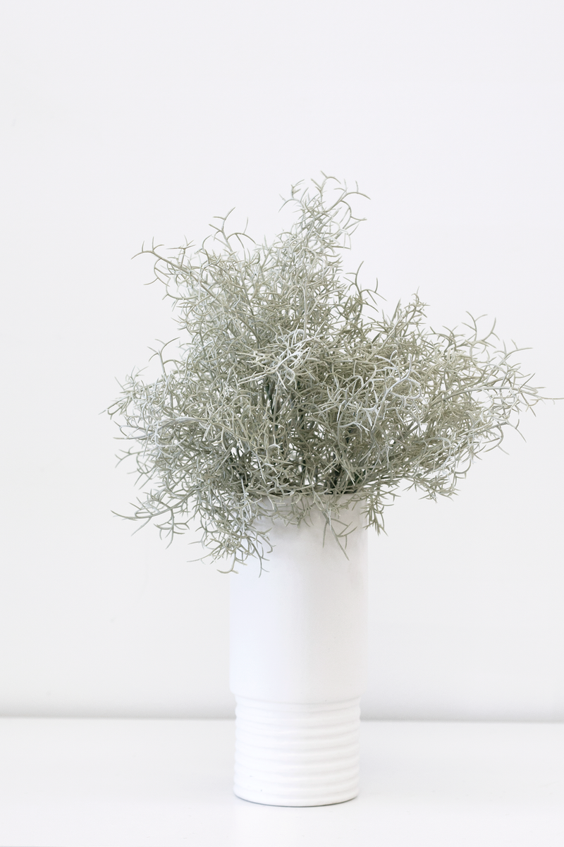 An Artificial Flora Desert Bush in a white vase.