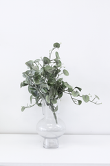 Artificial Silver Falls Bush 30cm foliage sprays in a clear vase on a white table by Artificial Flora.