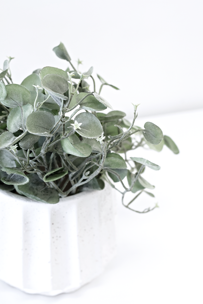 Silver Falls Bush 30cm by Artificial Flora in a white ceramic pot, showcasing its lush greenery and foliage sprays.