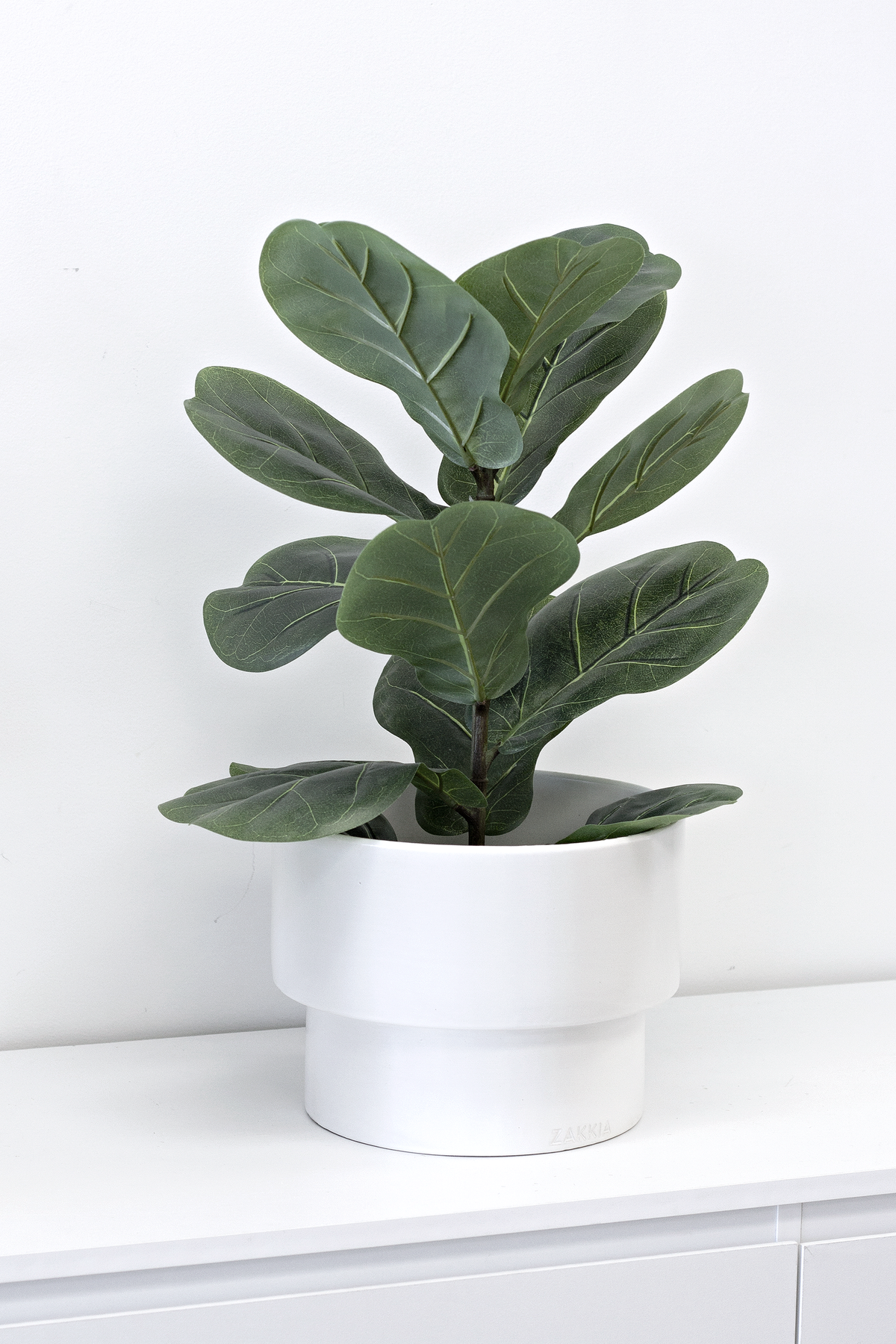 Fiddle Leaf Plant in a white round planter on a white sideboard