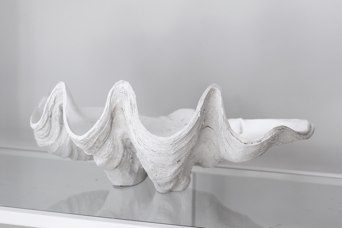 Clam shell bowl on a glass shelf against a grey wall, wave shaped rim in profile