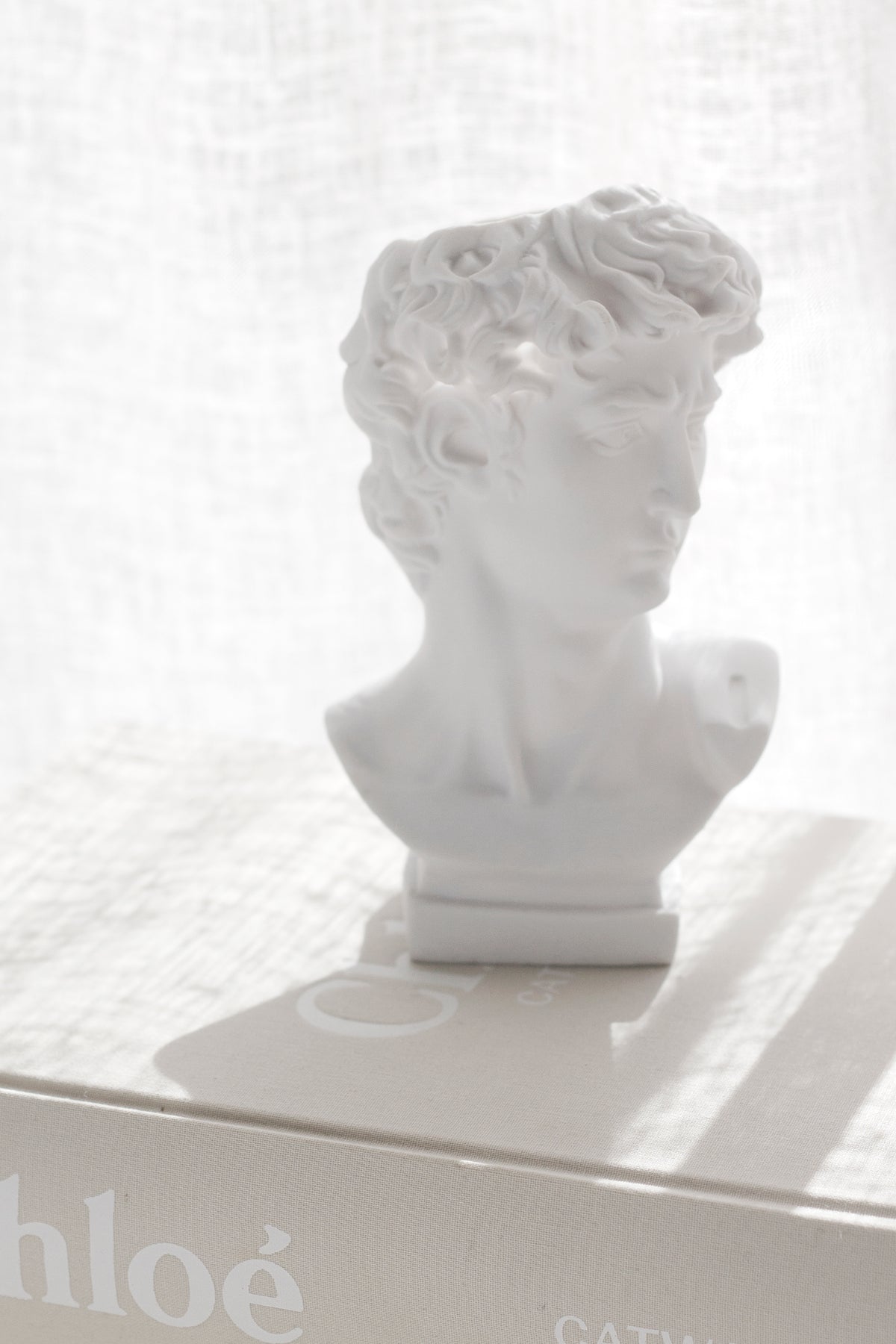 David bust vase resting on a fashion book in front of a linen curtain