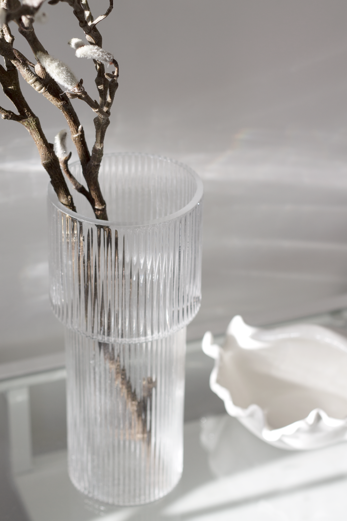 Ribbed glass vase of dark branches beside a white shell dish on a glass shelf