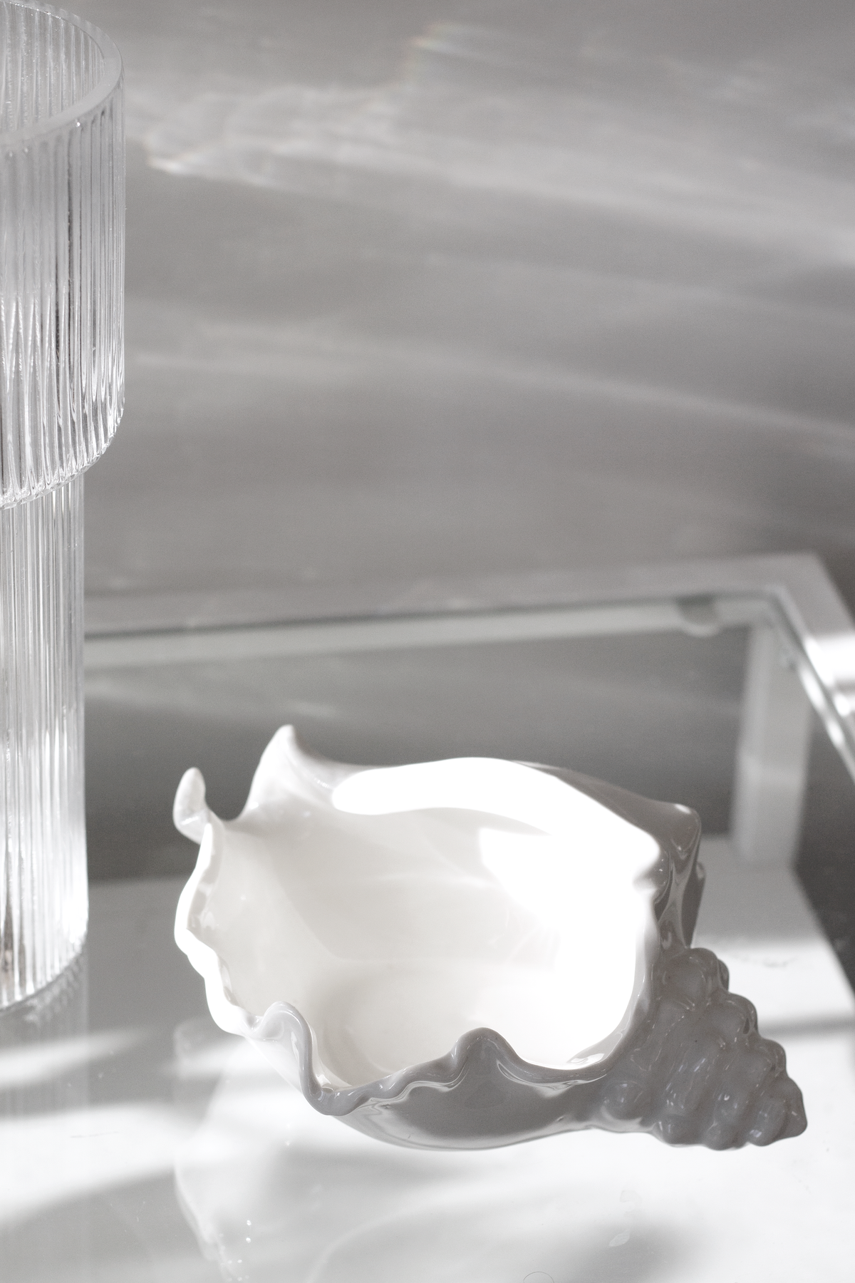 Conch bowl set beside a tall ribbed glass vase on a white surface