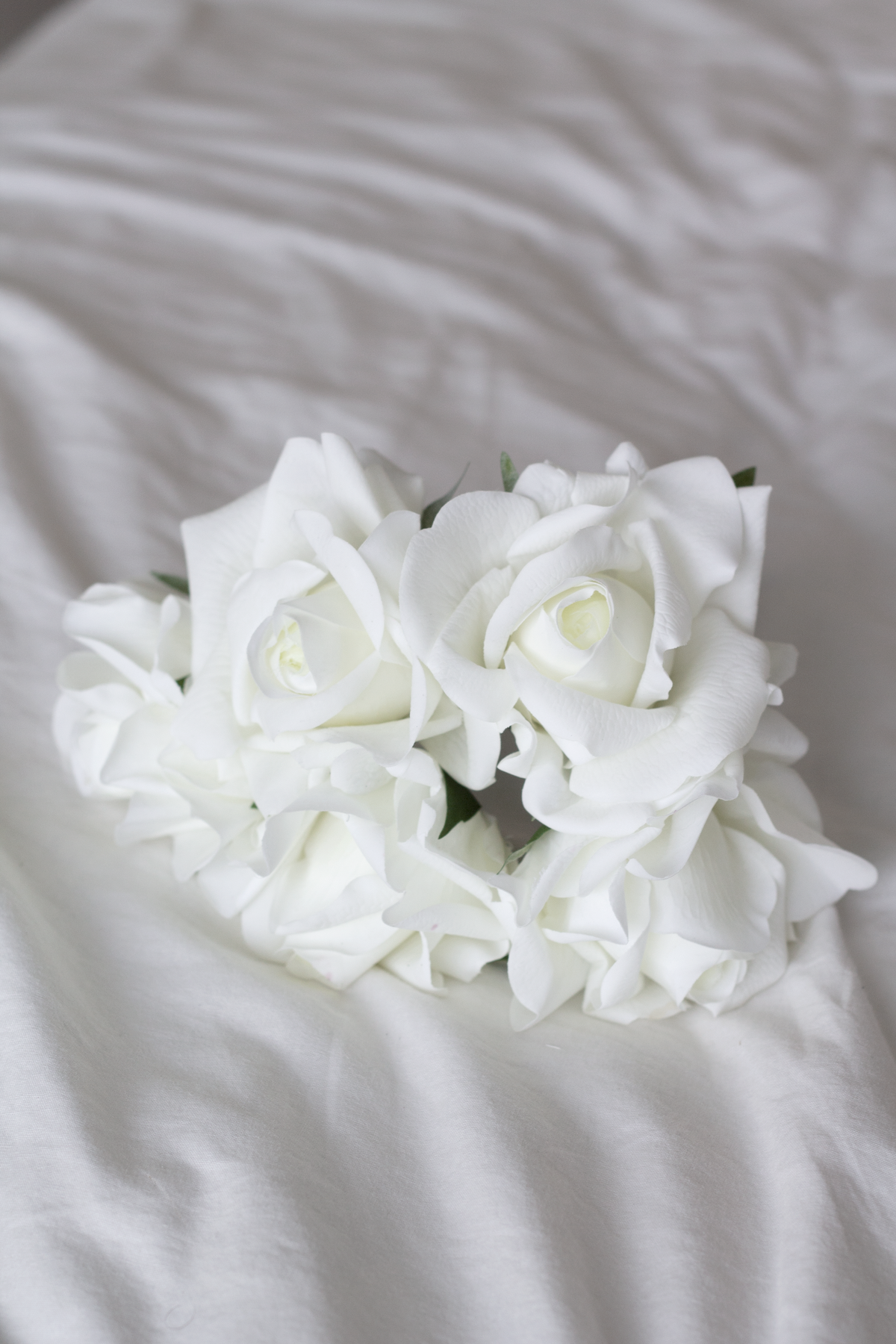 Rose Bundle, 5 Real Touch Faux Blooms, White or Pink