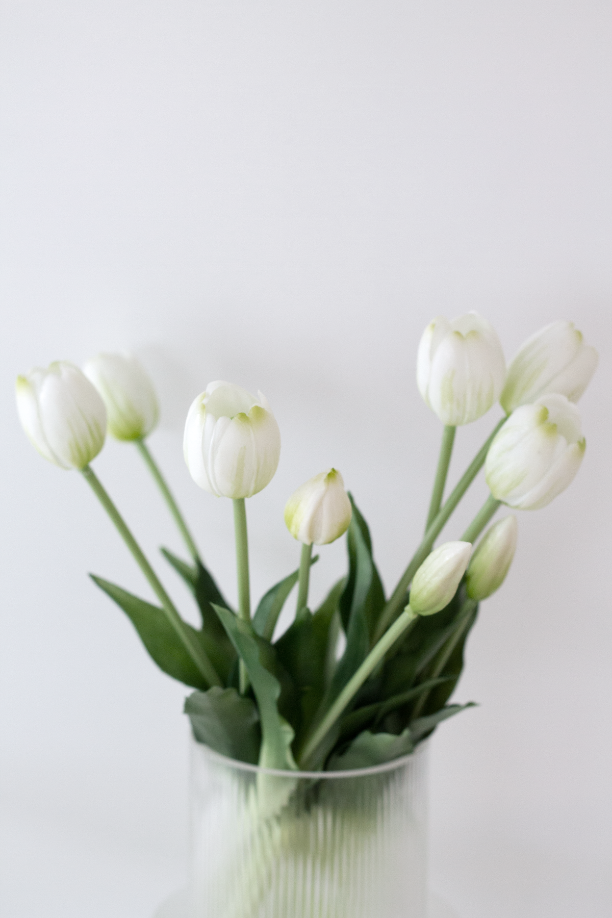 White faux tulip bouquet arranged in a ribbed glass vase against a pale wall