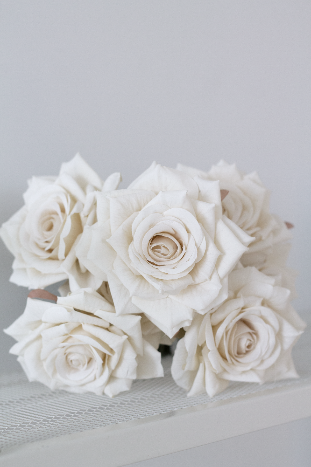 Champagne rose heads on a white shelf against a grey wall