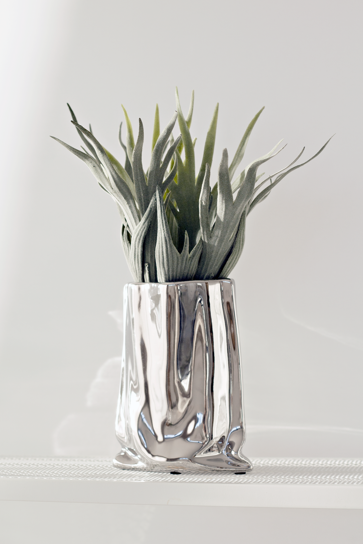Silver metallic bag vase holding a spiky green air plant on a white ledge