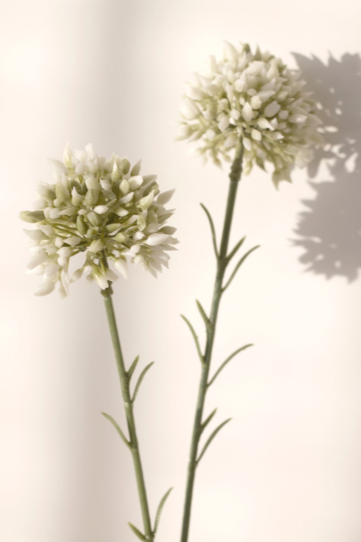Mini Allium Stem, Cream 46cm Faux Flower