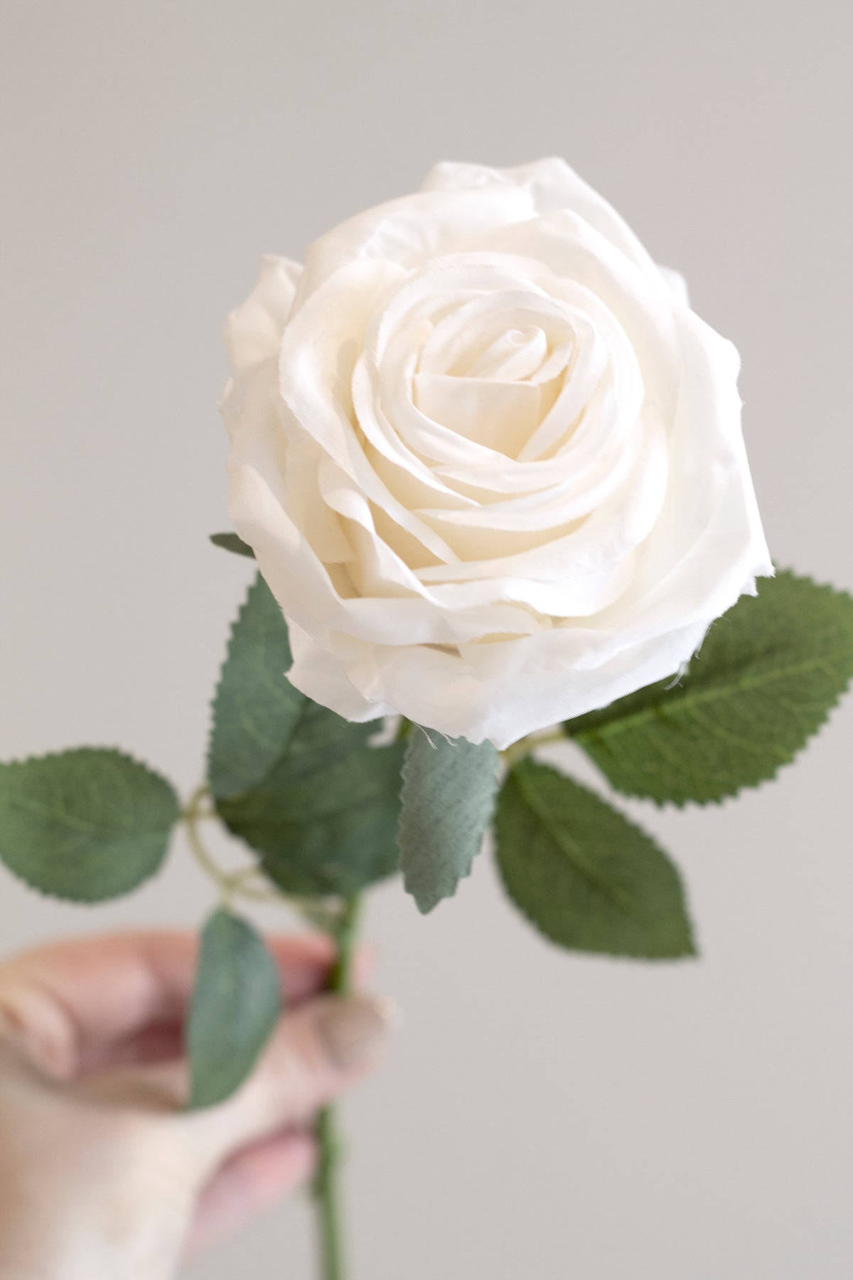 Aida Real Touch Rose, White & Peach 65cm Faux Stem
