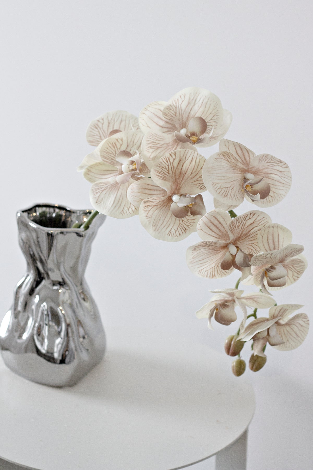 Champagne orchid stem in a crumpled silver vase on a round white table