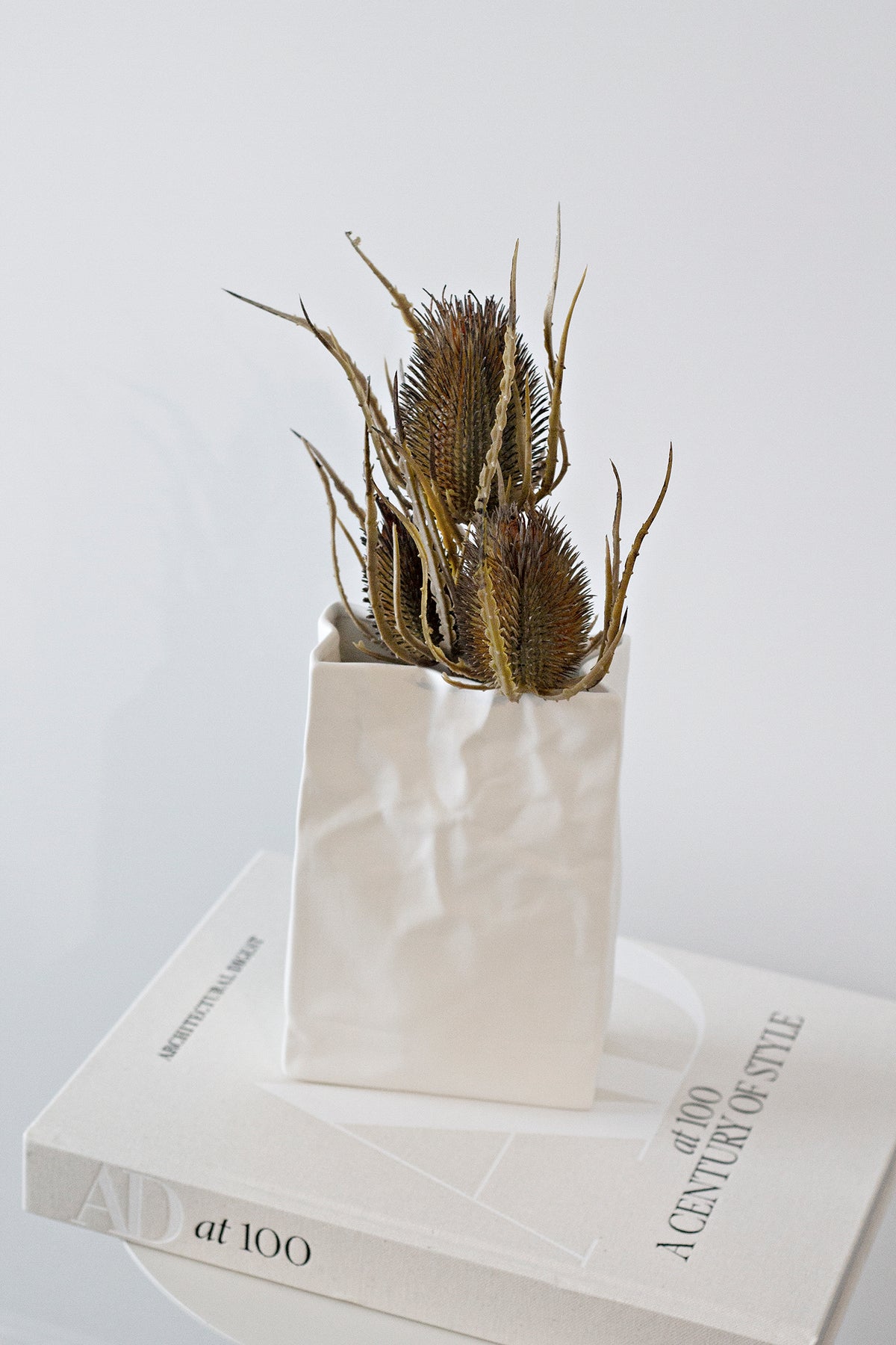 White paper bag vase of dried teasels standing on a stack of coffee table books
