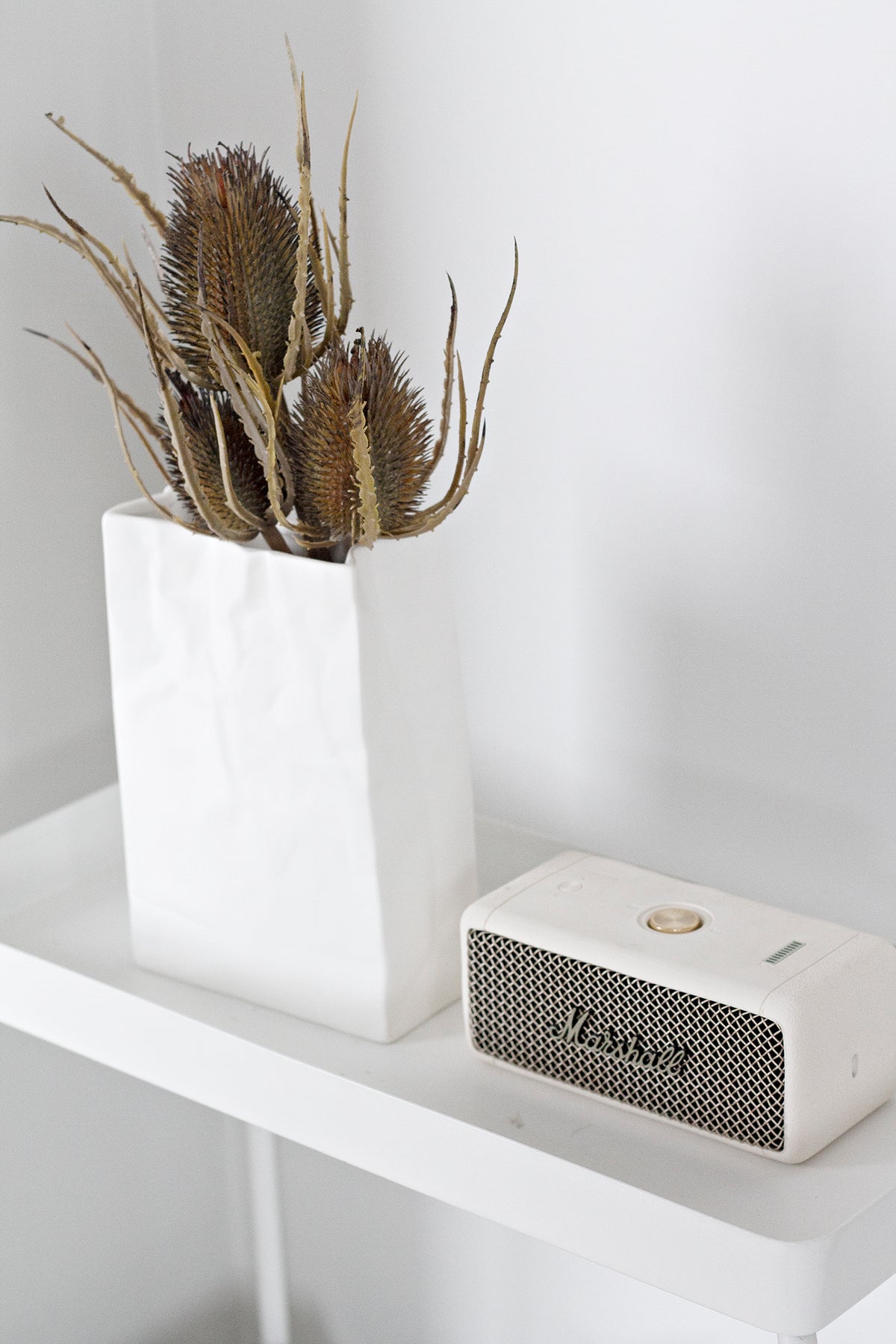 Tall white paper bag vase of dried teasels on a white console beside a small speaker