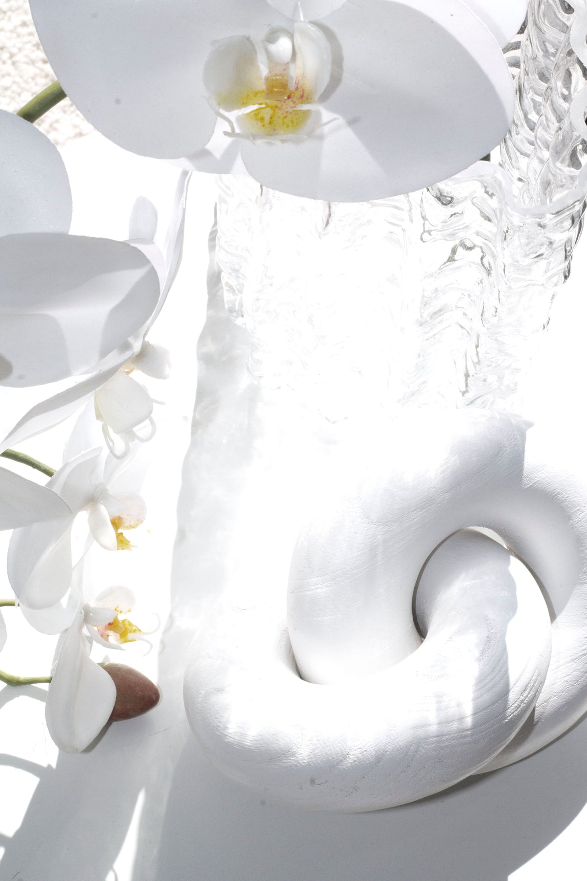 White wooden knot sculpture beside a white orchid, close view in strong light