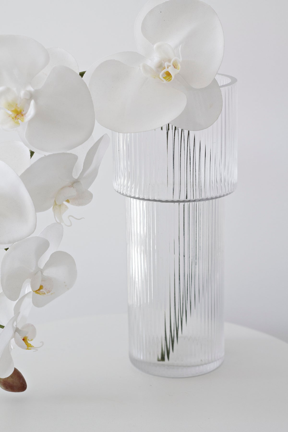 White orchid blooms arching over the ribbed glass vase, seen close