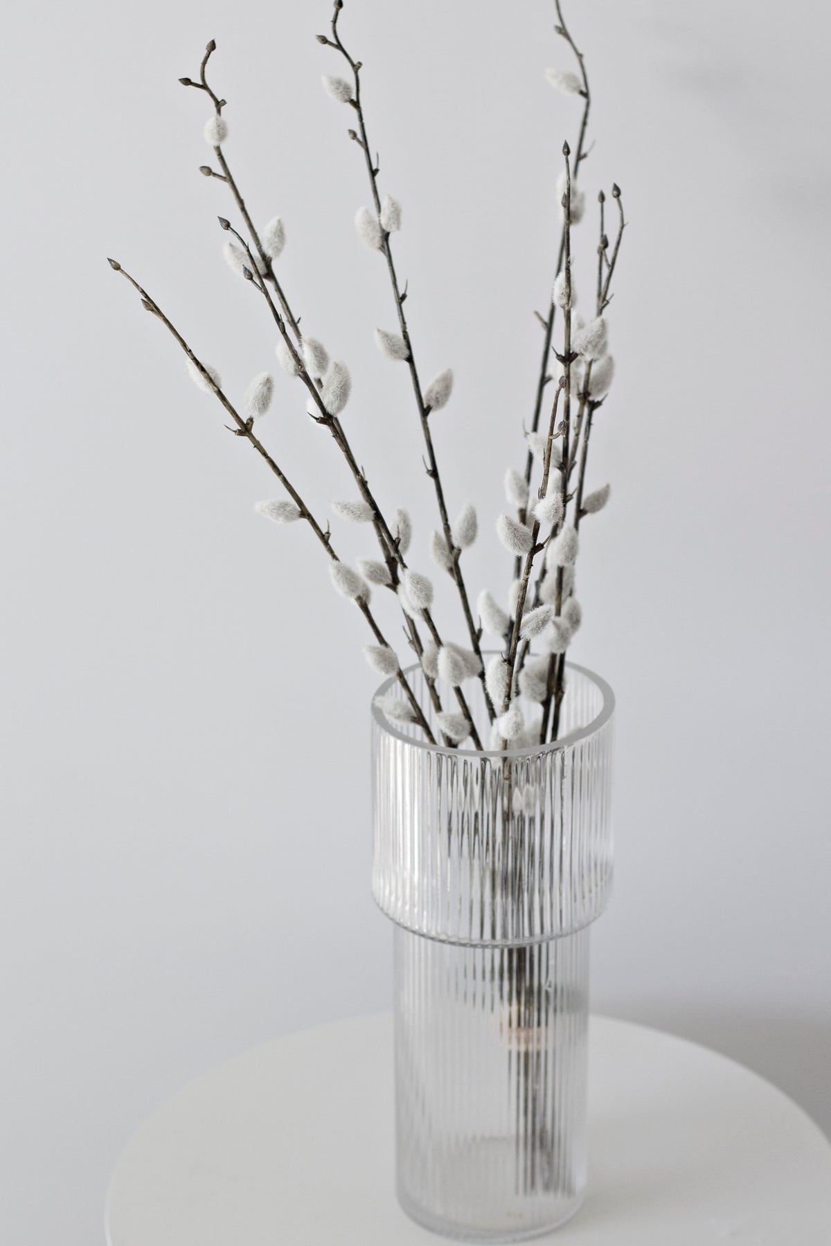 Faux pussy willow stems in a clear glass vase against a pale wall