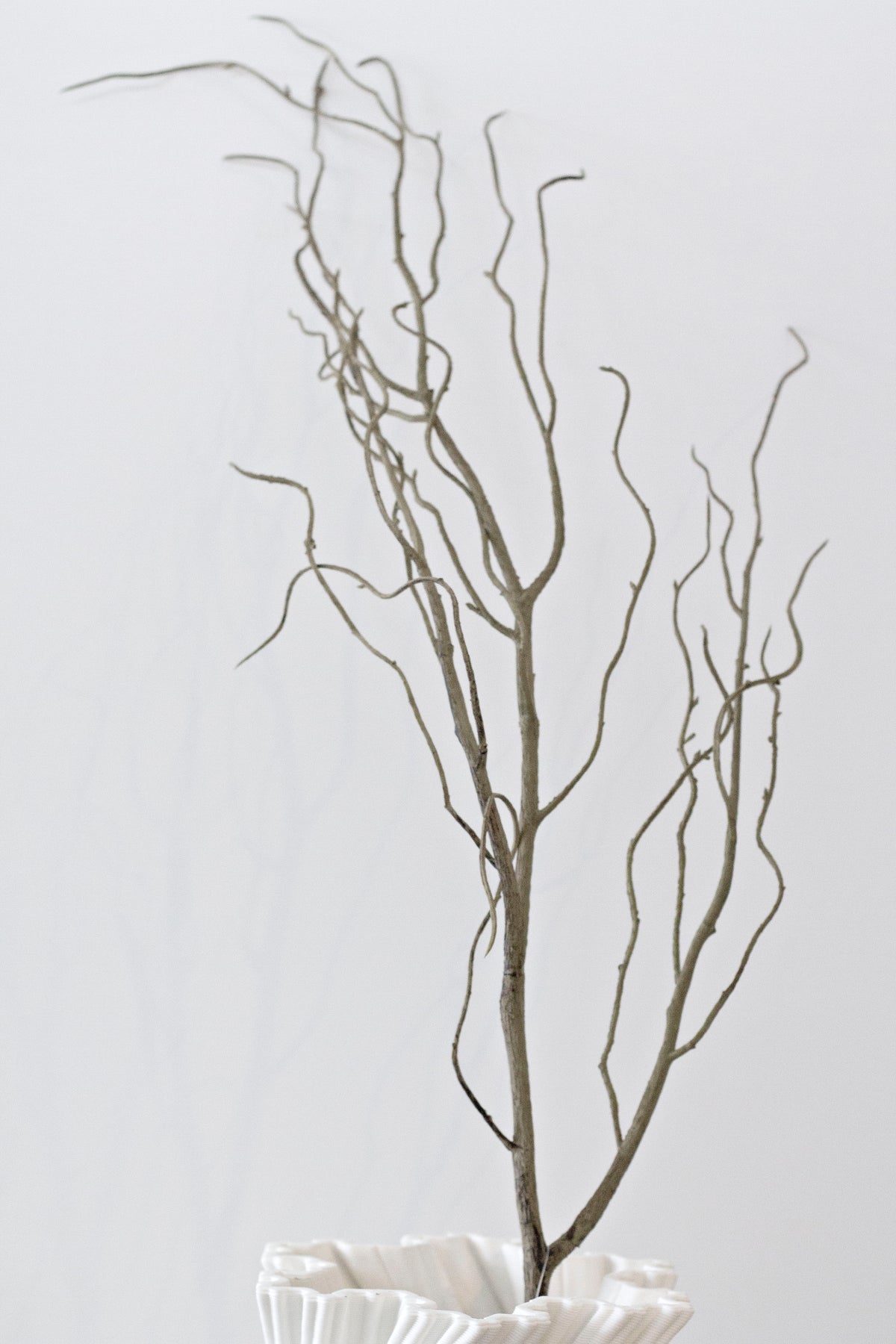Full height of the faux giant willow stem branching out from a white vase