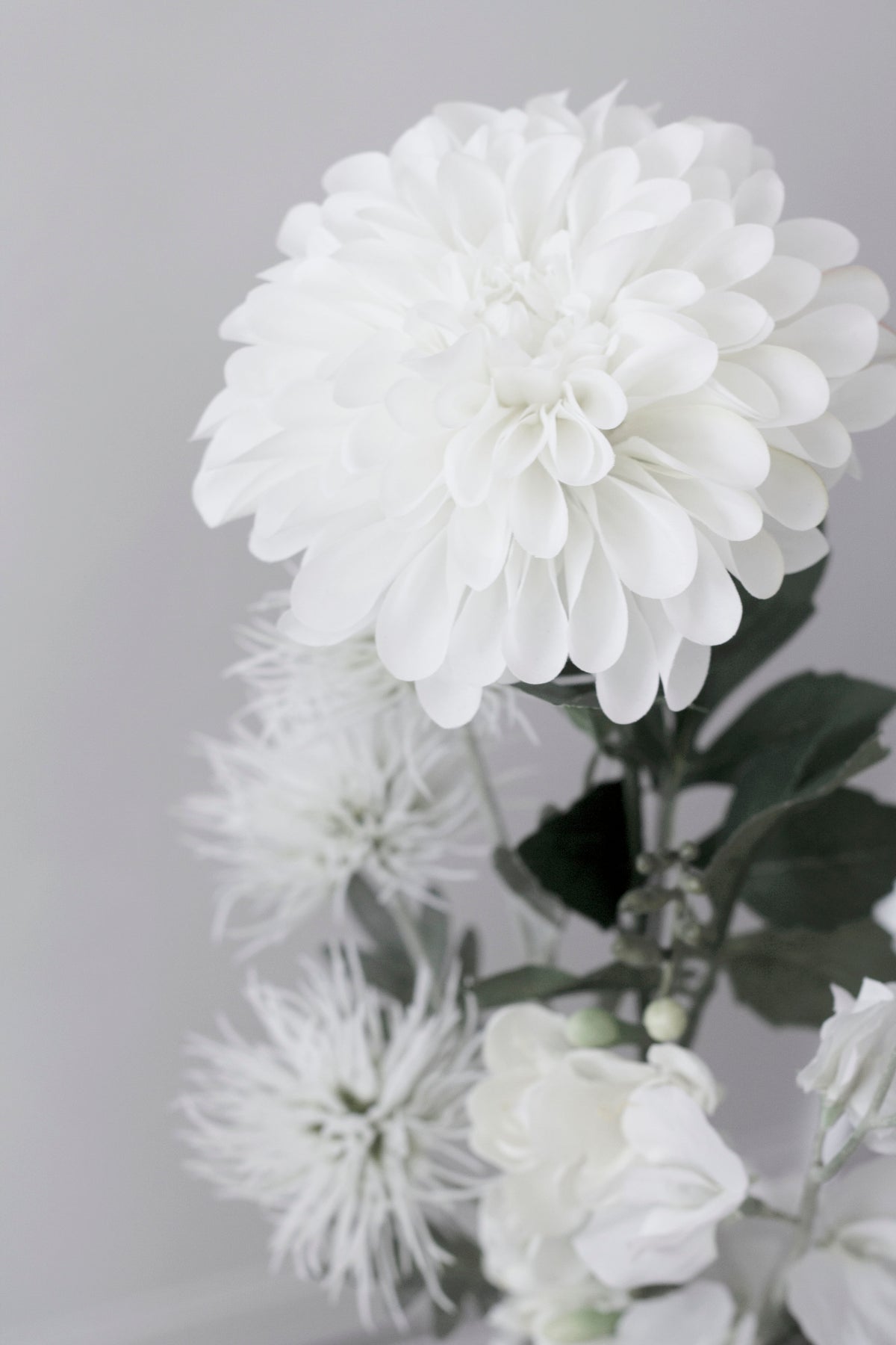 White dahlia above spiky white blooms in a mixed arrangement