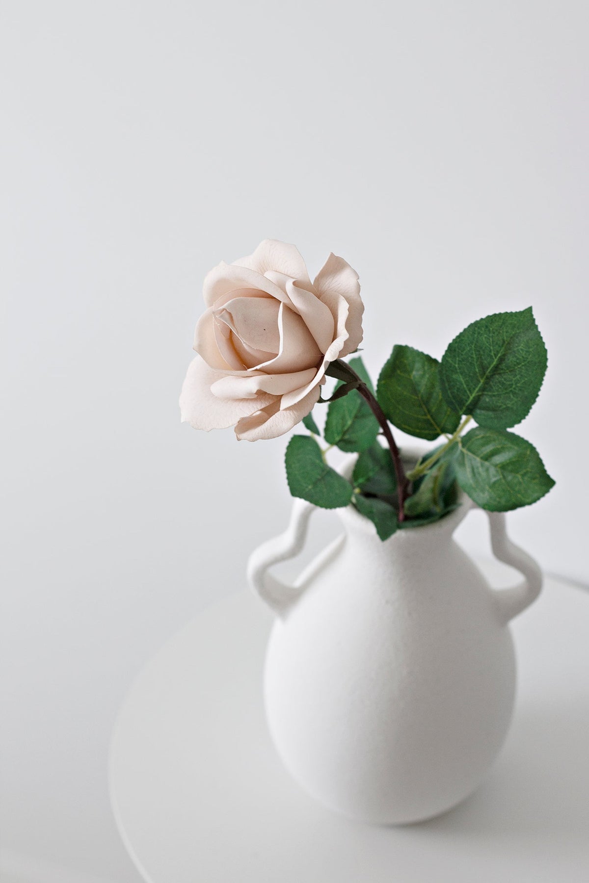 Light brown tea rose in a white vase with loop handles