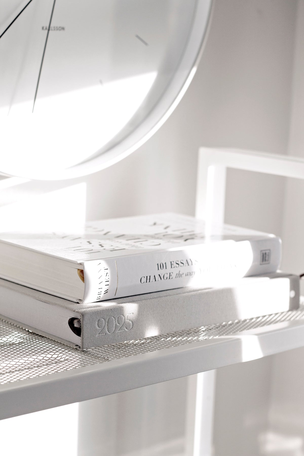 The 101 Essays paperback on a white mesh shelf with a round mirror behind