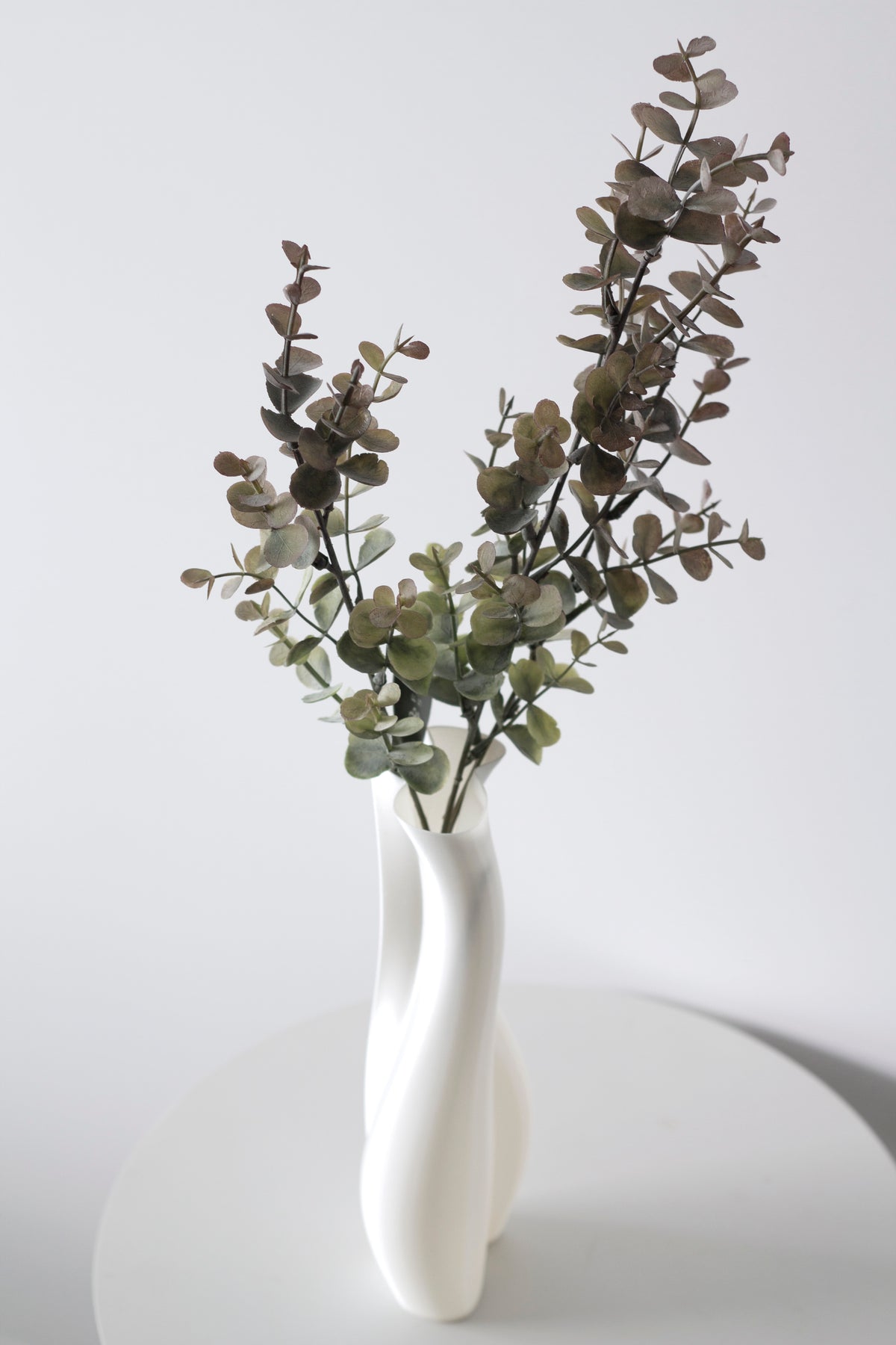 Faux eucalyptus stems arching from a slim white vase