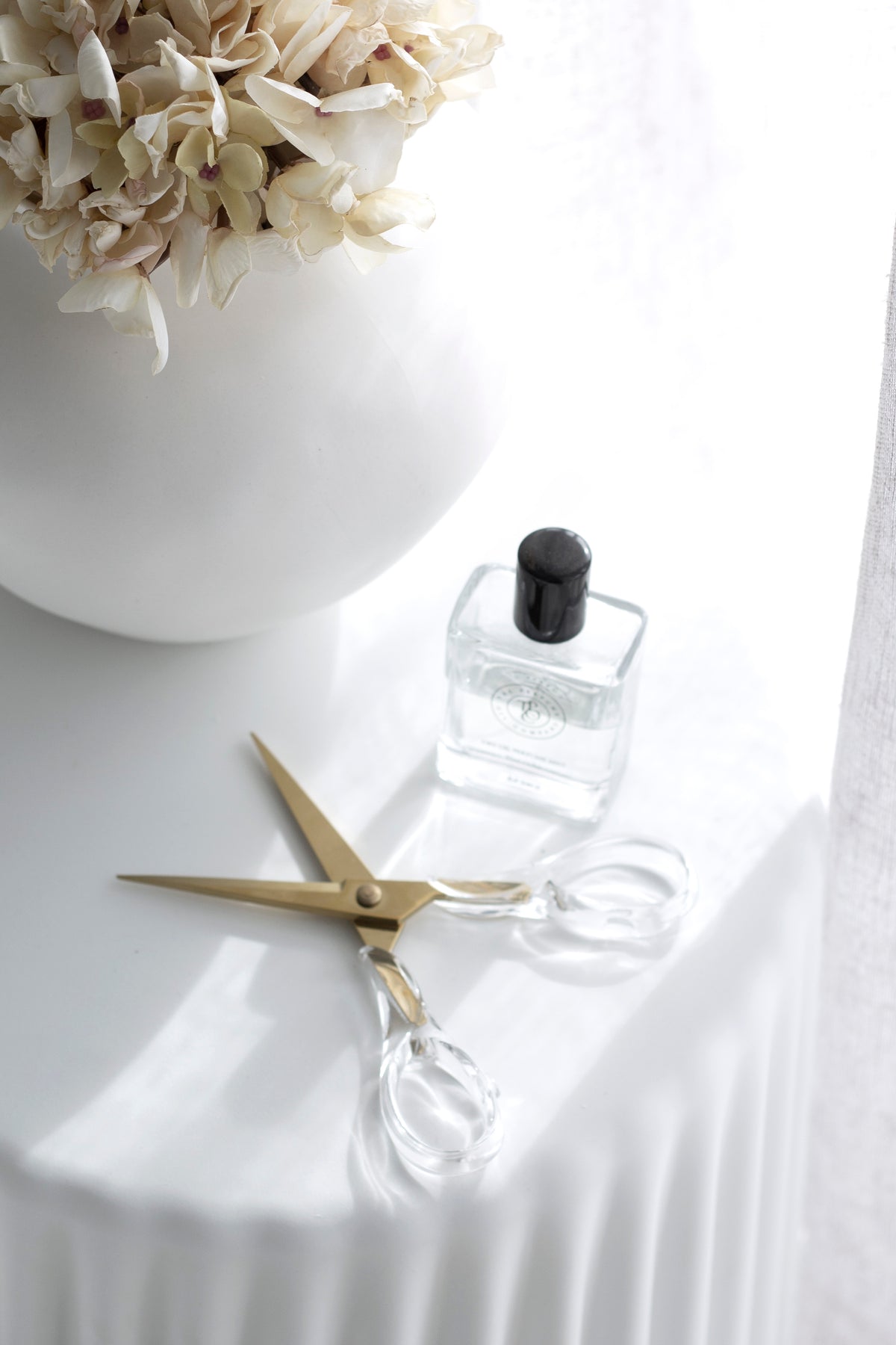 Acrylic Gold Scissors – Luxe Clear Desk Scissors
