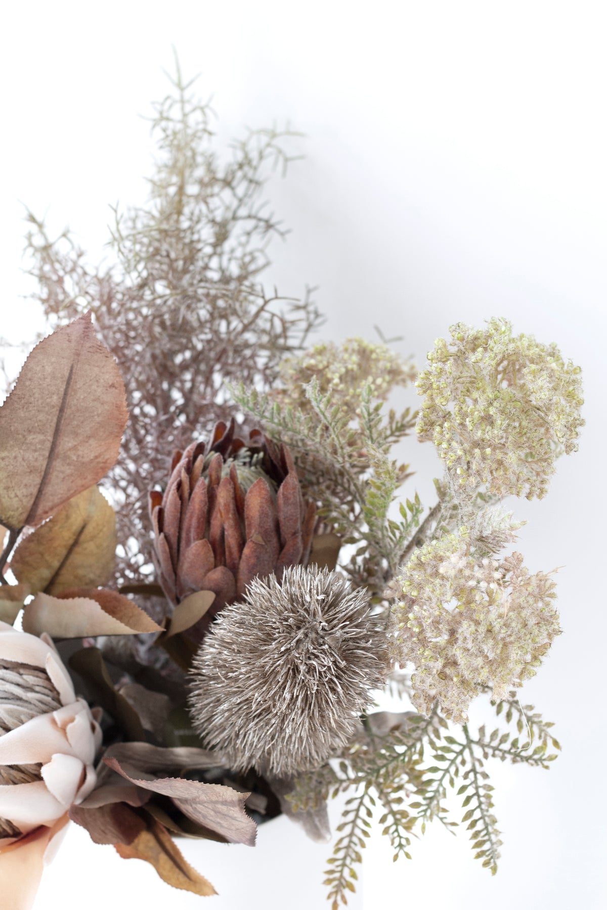 Protea, thistle and wild flower spray arrangement against white
