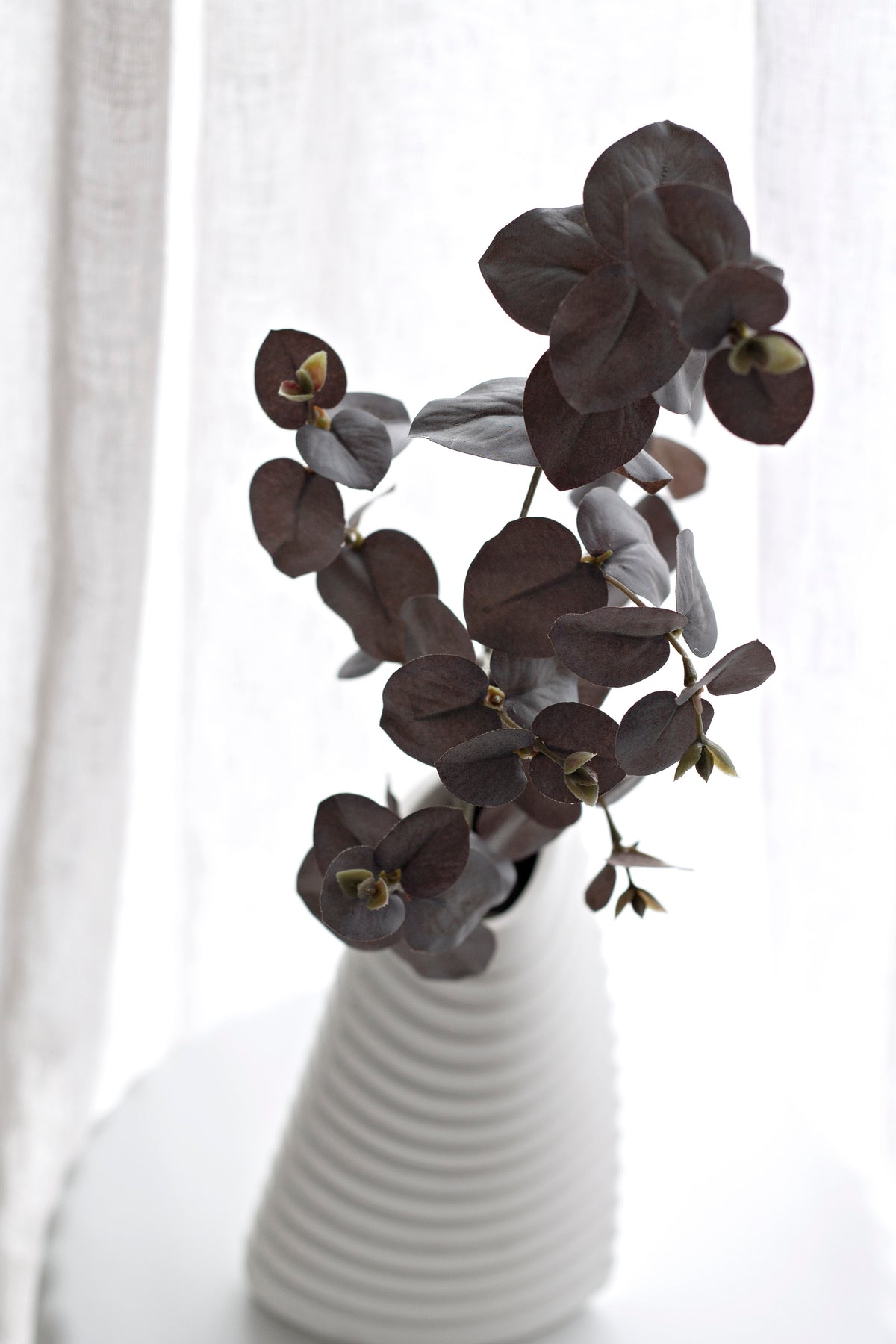 Brown eucalyptus spray in a ribbed white vase, stems leaning to the right