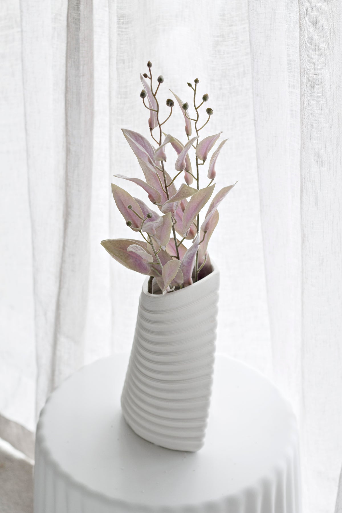 Garden sage spray in a ribbed white vase on a white pedestal by sheer curtains