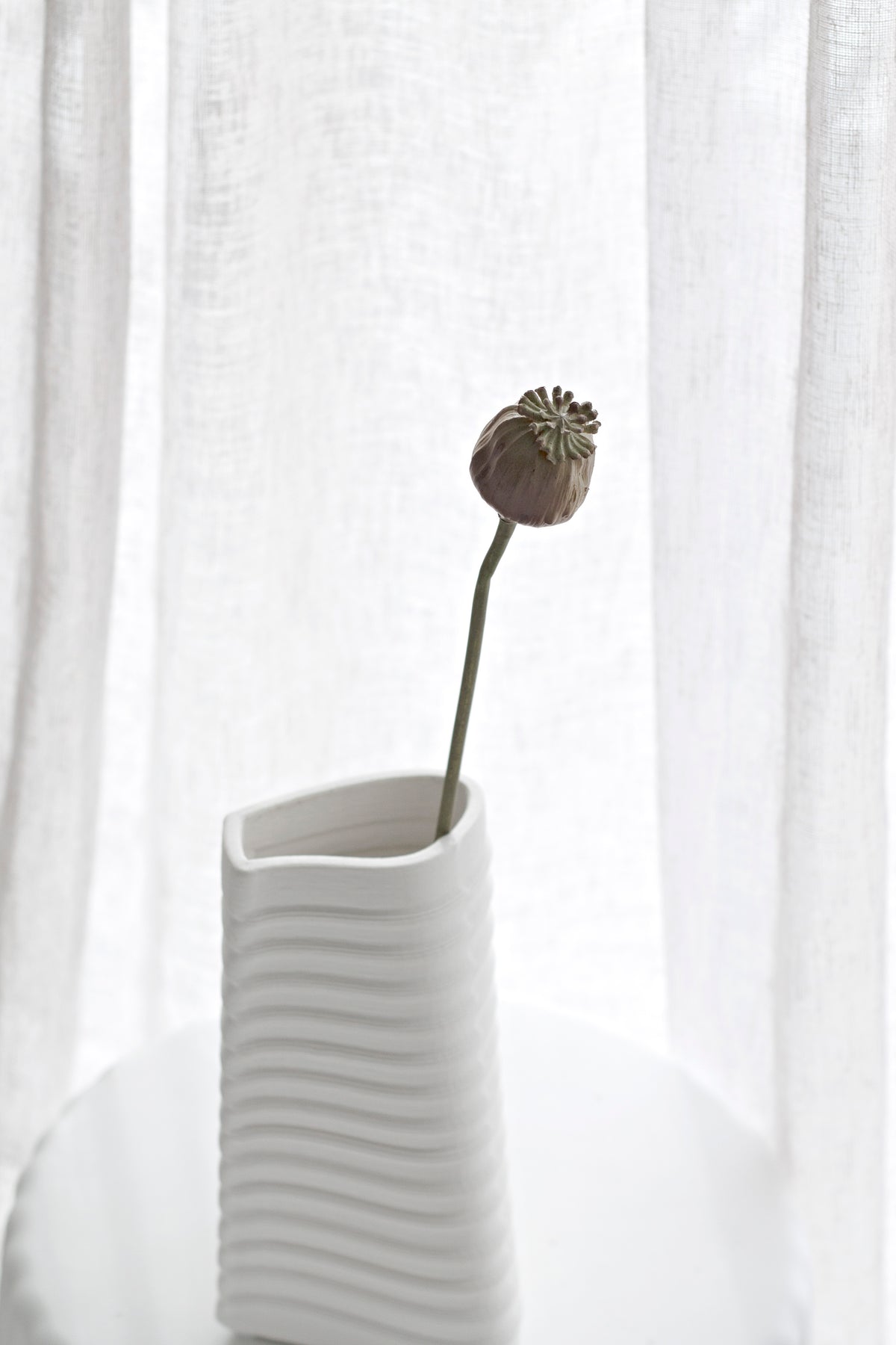 Poppy Seed Stem, Dried-Look 55cm Faux Accent