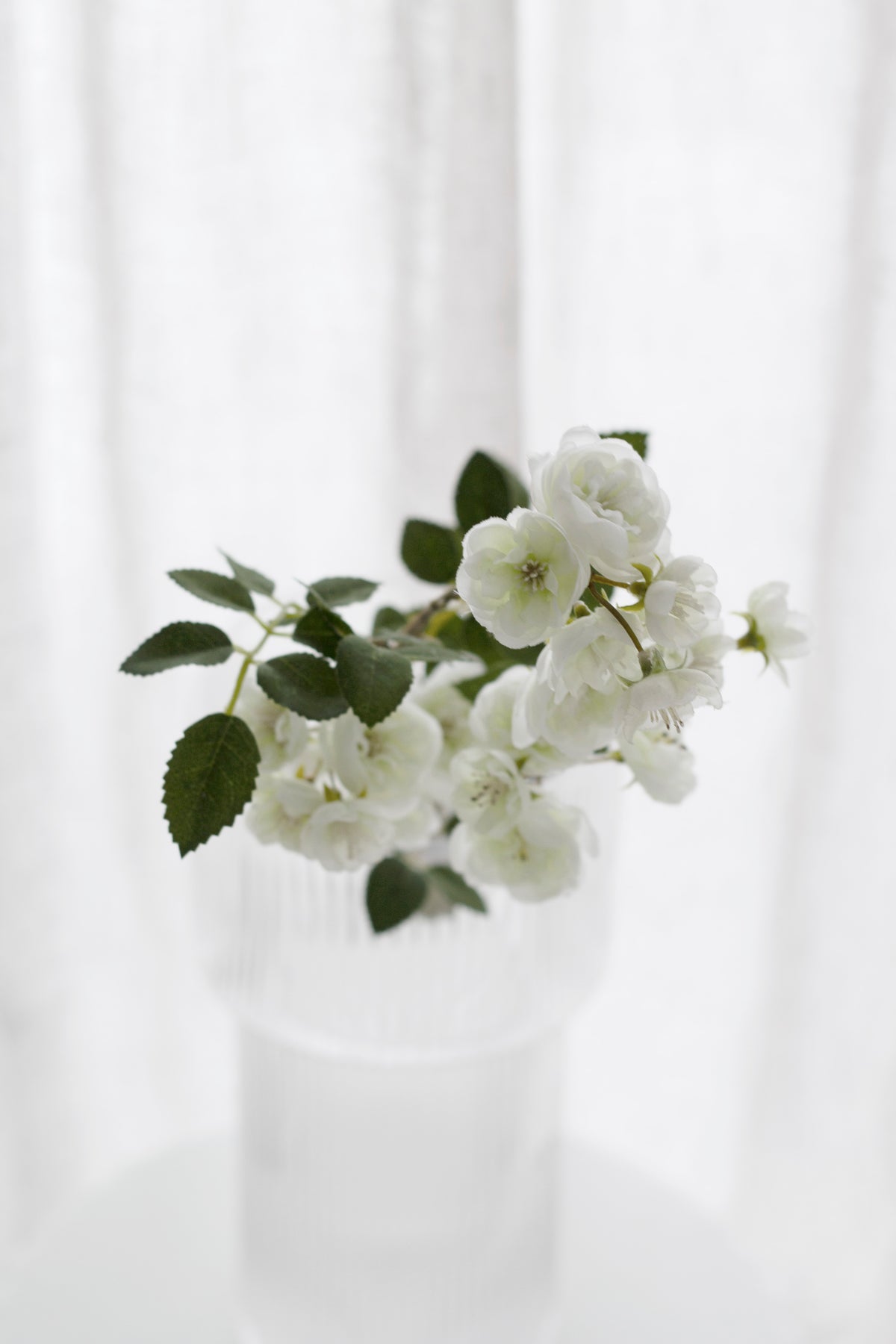 Cream faux rambling rose clusters with green leaves in a clear glass vase