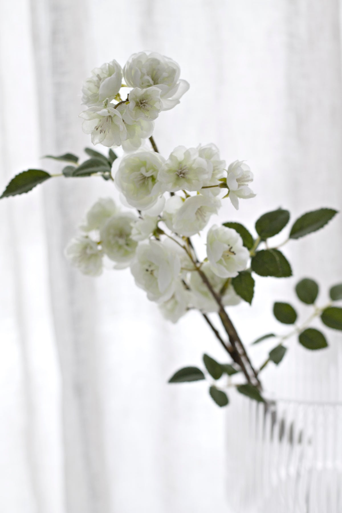 Tall spray of cream faux rambling roses leaning from a ribbed glass vase